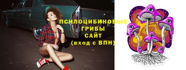 кристаллы Инта