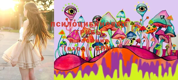 PSILOCYBIN Дедовск
