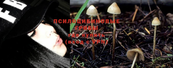марки nbome Каменногорск