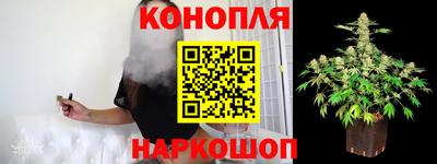 крисы Комсомольск-на-Амуре