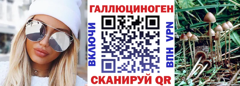 где продают наркотики кракен tor Галлюциногенные грибы GOLDEN TEACHER Кингисепп