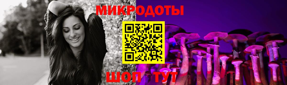 Псилоцибиновые грибы Magic Shrooms  Псилоцибиновые грибы Magic Shrooms  Вход с VPN  Кингисепп 