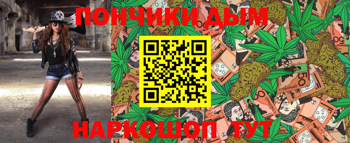 Кингисепп  Конопля планчик  Вход с VPN  Шишки марихуана семена  Каннабис сатива 